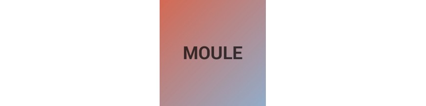 Moule